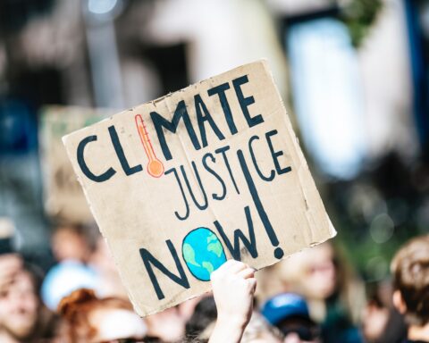 Global climate change strike protest demonstration - No Planet B, Nürnberg, Deutschland, 2019.