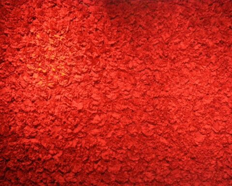 The Carnation Revolution. Aljube Museum of Resistance and Freedom and former prison, Lisbon, Portugal / 2015.