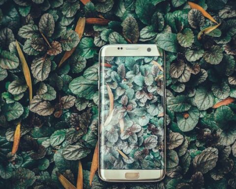Ravi Kumar/Unsplash