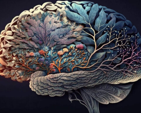 A colorful image of a human brain representing cognition on living systems