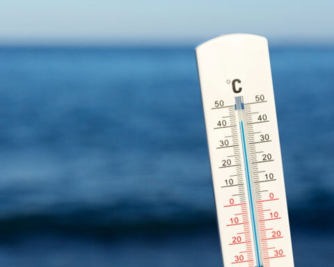 Sea Surface Temperatures