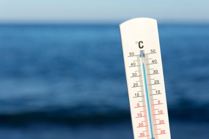 Sea Surface Temperatures