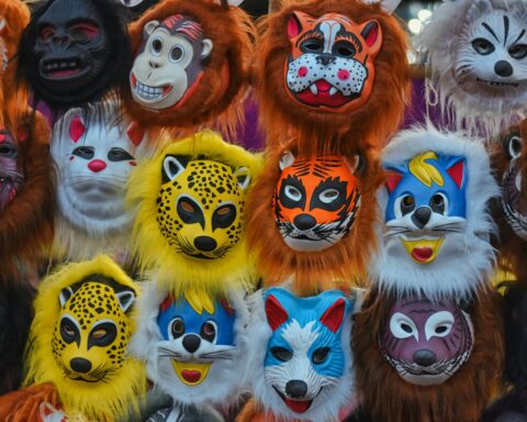 Display of Animal Masks for Kids