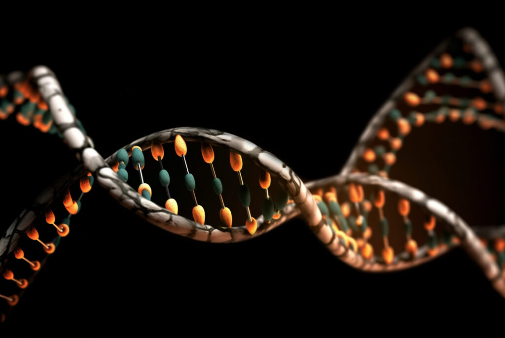 DNA structure