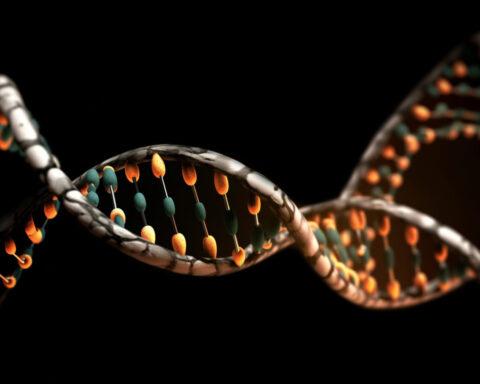 DNA structure